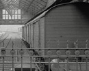 68021