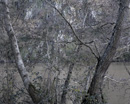 20009